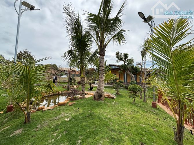 Đất nền chỉ 3 triệu/m2 có thổ cư xây dựng, gần sân bay Liên Khương Đức Trọng Lâm Đồng - 4