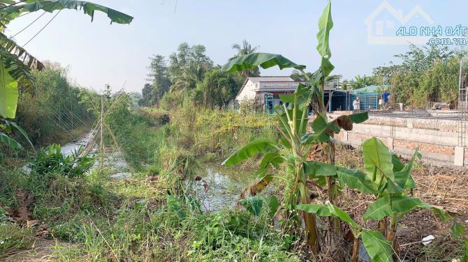 BÁ.N ĐẤT GẦN TRƯỜNG ĐẠI HỌC NAM CẦN THƠ, CHỈ TẦM 5 PHÚT LÀ ĐẾN TRUNG TÂM THÀNH PHỐ CẦN THƠ - 4