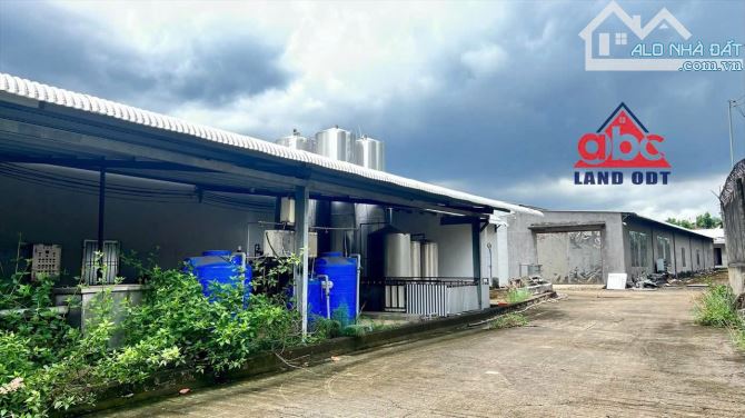 X005 Chuyển nhượng nhà máy SX hơn 4Ha đã chuyển đổi lên full SKC 100% - Ngành chế biến - 4