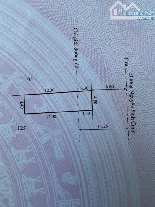 Mặt tiền kinh doanh Nguyễn Sinh Cung phường Vỹ Dạ thành phố Huế - 5