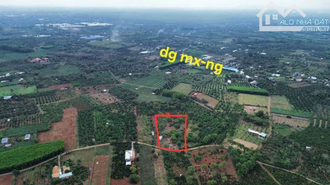 Bán khoảng 6 sào (6037m2) đất Láng Lớn, huyện Châu Đức, BRVT.