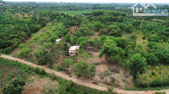 Bán khoảng 6 sào (6037m2) đất Láng Lớn, huyện Châu Đức, BRVT. - 1