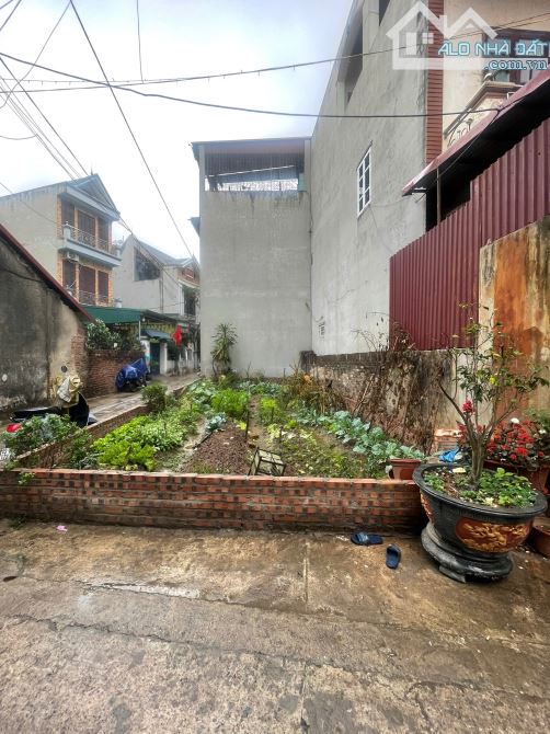 Bán mảnh đất vị trí góc đẹp nhất tại Lực Canh, Xuân Canh, Đông Anh, Hà Nội, 8.5x Tỷ, 58 m2 - 1