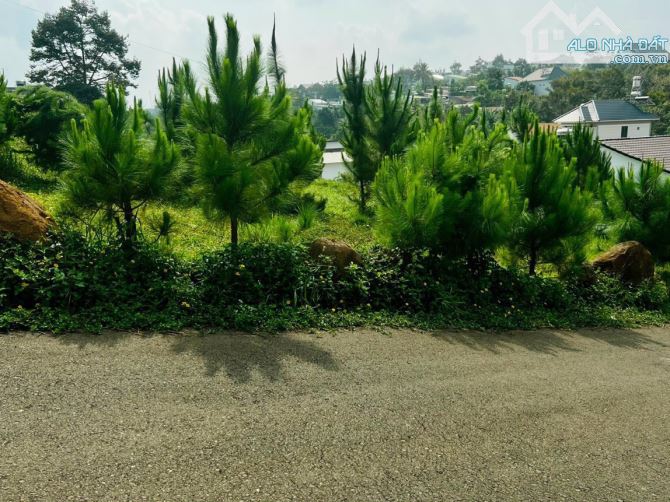 Bán đất tặng View, đất biệt thự 2 mặt tiền đường Mạc Đỉnh Chi, phường 2 thành phố Bảo Lộc - 2
