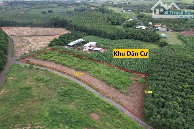 PHƯƠC TÂN XUYÊN MỘC BÀ RỊA VŨNG TÀU  DT 5000 m2 -- 126 m mặt tiền sâu 53 m    Giá 6 tỷ tl - 3