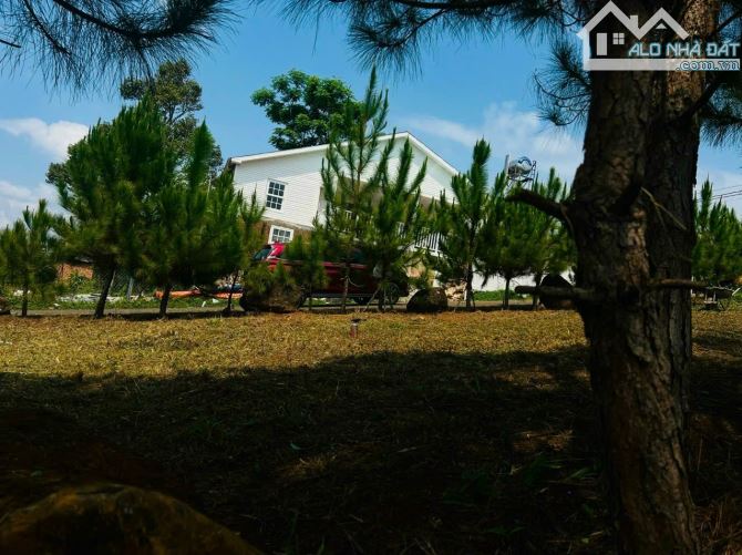 Bán đất tặng View, đất biệt thự 2 mặt tiền đường Mạc Đỉnh Chi, phường 2 thành phố Bảo Lộc - 3