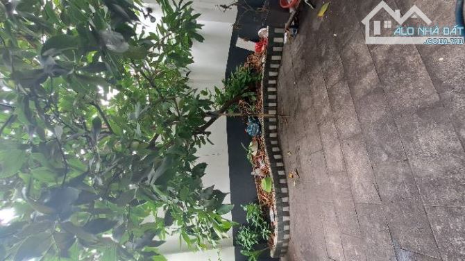 5 tầng kiên cố ngang 8mx18m, mặt tiền đường số 2 ngay chợ Tân Quy Quận 7 chỉ 23.5 tỷ - 3