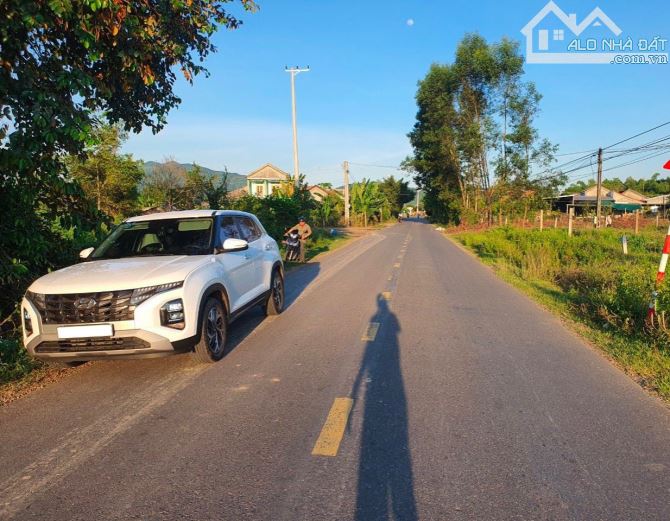 Cần Bán gấp đất Diên Xuân, mặt tiền DT8 QH 42m , sau lưng giáp sông - 4