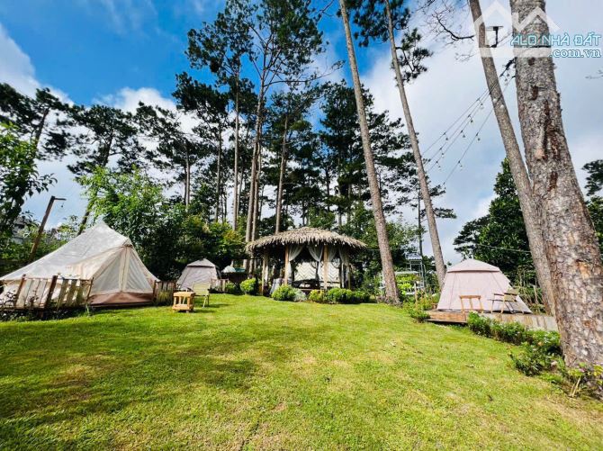 bán gấp căn nhà view và lưng tựa đồi thông Khe Sanh Đà Lạt cực chill, 892m2, chỉ 32 tỷ