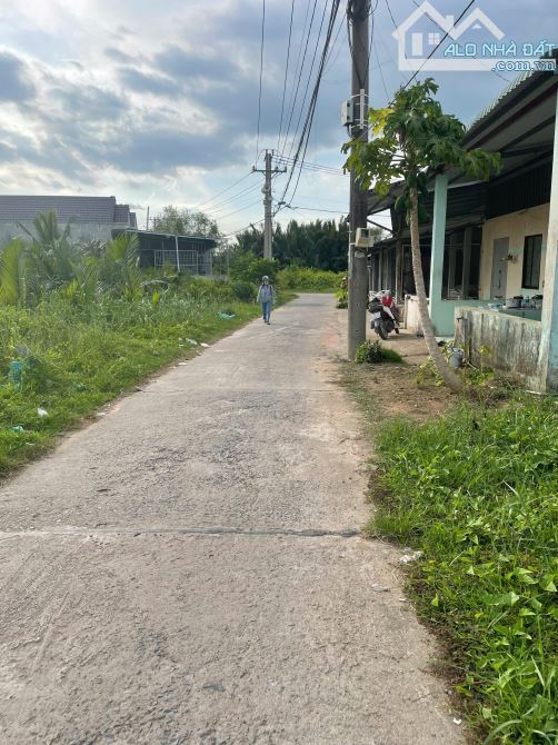 BÁN LÔ ĐẤT VƯỜN 1250M² – MẶT TIỀN ĐƯỜNG GÒ ME – XE HƠI RA VÀO – SỔ HỒNG RIÊNG – CHỈ 5,6 TỶ