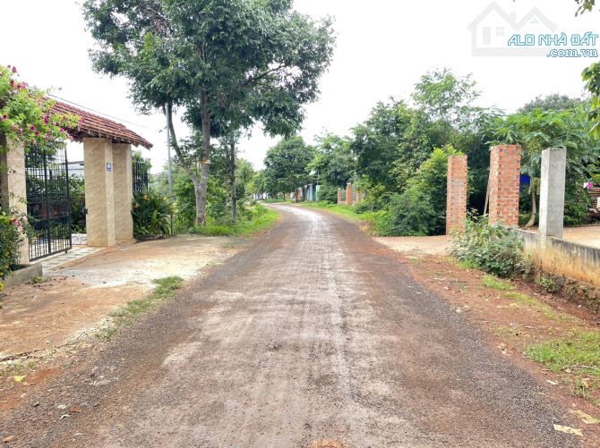 💥Lô TC 4,9*23m,Đầu Đường A1,Phạm Ngũ Lão thôn 4,gần Vành Đai,nhiều lô khác