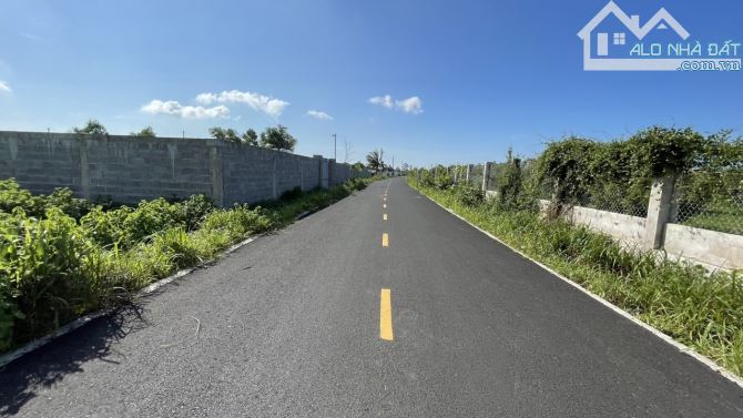 MỘT LÔ ĐẤT CHO ANH CHỊ LÀM MỘT CĂN HOMTAY  🌲🌲🌲🌲XÃ LONG MỸ PHƯỚC HẢI: ĐẤT ĐỎ .BRVT Dt 7 - 1