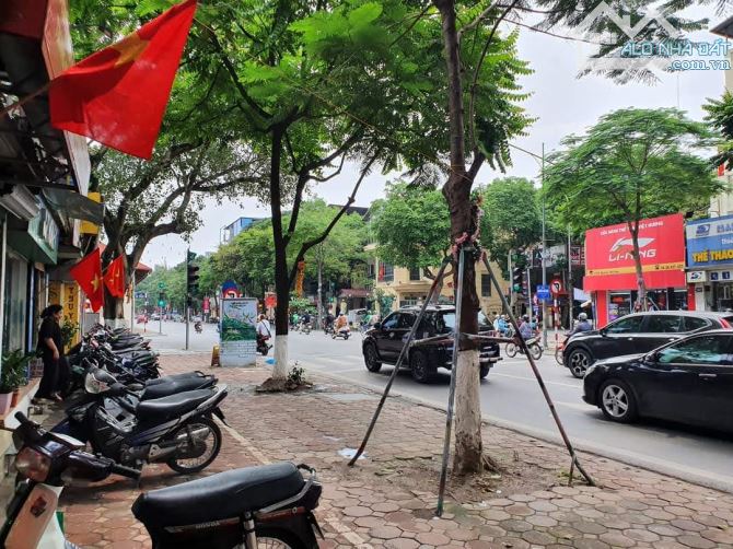 Cơ Hội Hiếm Có Đầu Tư Sở Hữu MP Nguyễn Thái Học 248m2, mt 7m, 170 tỷ - 1