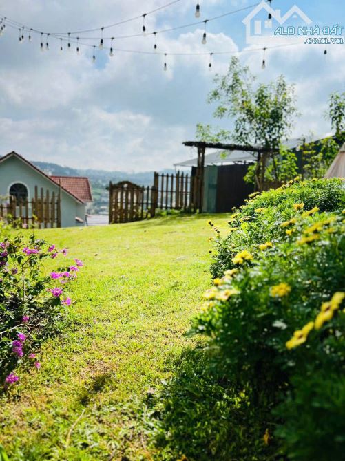 bán gấp căn nhà view và lưng tựa đồi thông Khe Sanh Đà Lạt cực chill, 892m2, chỉ 32 tỷ - 1