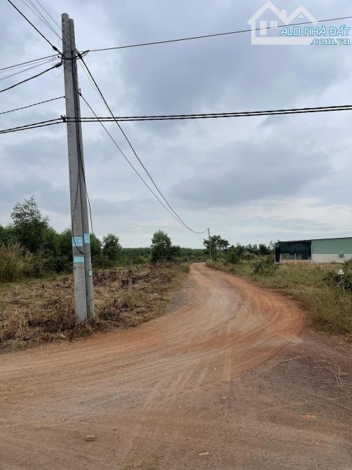 Cần bán mảnh đất 2 mặt tiền quy hoạch đất ở Đô Thị tại khu phố 2 thị trấn Vĩnh An - 1