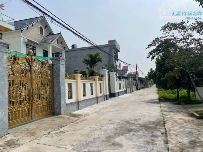 Chính chủ chào bán Lô đất biệt thự 3 mặt tiền view sông. Xã Phong Châu, Đông Hưng, Thái Bì - 1