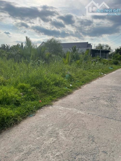 BÁN LÔ ĐẤT VƯỜN 1250M² – MẶT TIỀN ĐƯỜNG GÒ ME – XE HƠI RA VÀO – SỔ HỒNG RIÊNG – CHỈ 5,6 TỶ - 1