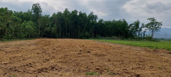 Đất vườn đà nẵng, 1220m2 bằng phẳng vuông vắn xây nhà hay nuôi gà vẫn được. - 1