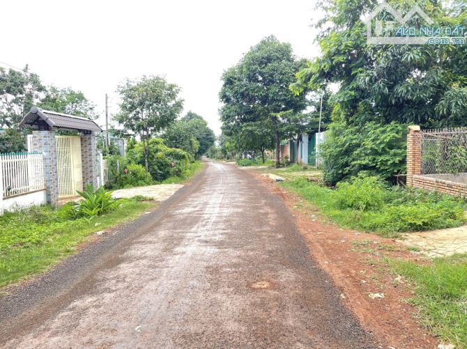 💥Lô TC 4,9*23m,Đầu Đường A1,Phạm Ngũ Lão thôn 4,gần Vành Đai,nhiều lô khác - 1