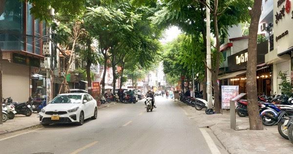 HOA HẬU BA ĐÌNH - PHAN KẾ BÍNH - THÔNG SỐ VÀNG TRONG LÀNG MẶT PHỐ. - 2