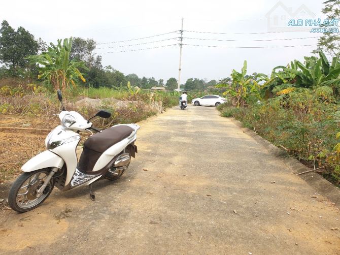 60m tân xã - thạch thất chủ cắt lỗ - Hà nội - 2