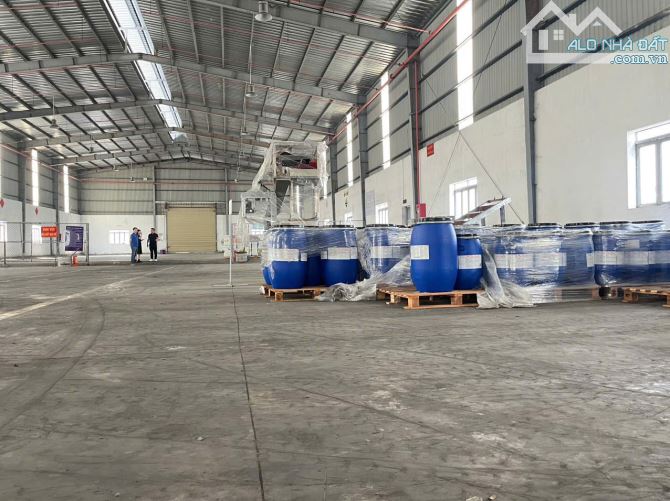 Cho thuê kho hoá chất 3000m² giá cực tốt tại KCN Đức Hòa, Long An - 3