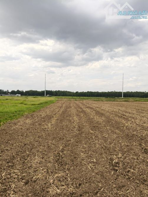 BÁN GẤP ĐẤT PHÂN LÔ MẶT TIỀN XUÂN THỚI THƯỢNG -16000M2 ĐẤT SIÊU RẺ - 3