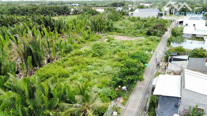 BÁN LÔ ĐẤT VƯỜN 1250M² – MẶT TIỀN ĐƯỜNG GÒ ME – XE HƠI RA VÀO – SỔ HỒNG RIÊNG – CHỈ 5,6 TỶ - 4
