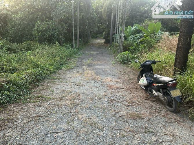 Lô đất hàng hiếm  đặc biệt kg có lo thư 2 dt 2900m  mặt tiền đường 20 m - 5