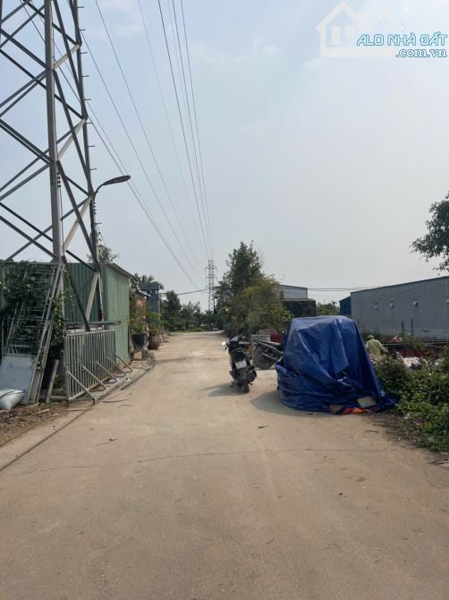 ❌❌❌Đất xinh đường rộng 6m Minh Đức, Đồ Sơn, Hải Phòng 55m - 5