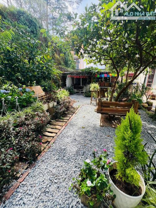 bán gấp căn nhà view và lưng tựa đồi thông Khe Sanh Đà Lạt cực chill, 892m2, chỉ 32 tỷ - 5