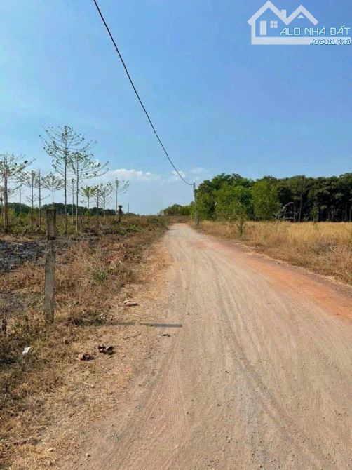 Cần bán mảnh đất 2 mặt tiền quy hoạch đất ở Đô Thị tại khu phố 2 thị trấn Vĩnh An - 5