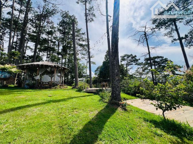 bán gấp căn nhà view và lưng tựa đồi thông Khe Sanh Đà Lạt cực chill, 892m2, chỉ 32 tỷ - 6