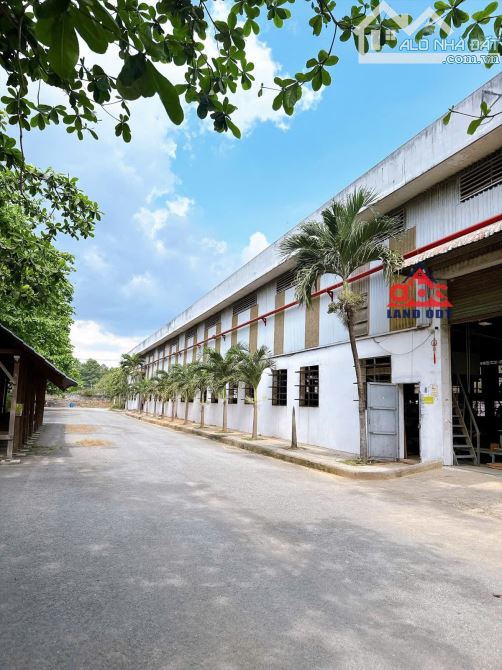 XT168 Xưởng kiên cố , thu hút đầu tư nhiều ngành nghề, bàn giao sản xuất - 7