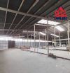 XT141 Cho thuê xưởng giáp QL.51 Phước Tân, BH. 3600m2 đất full skc. giá chỉ 100tr,