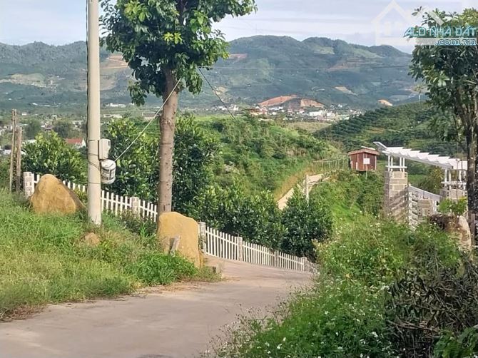 2.1 sào Bảo Lộc 50m mặt đường View đẹp - 2