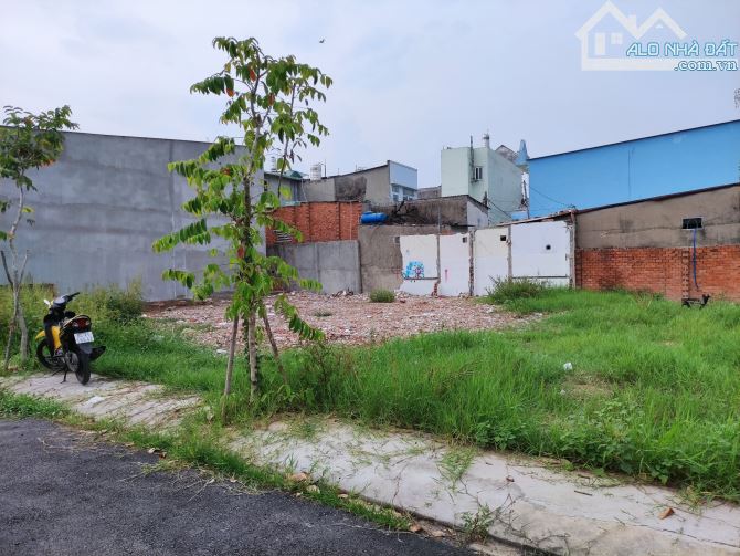 BÁN GẤP LÔ ĐẤT 5*16 ( 80m2 ) SHR, đường Trần Văn Mười, Tân Xuân, Hóc Môn. Giá 1,3 tỷ