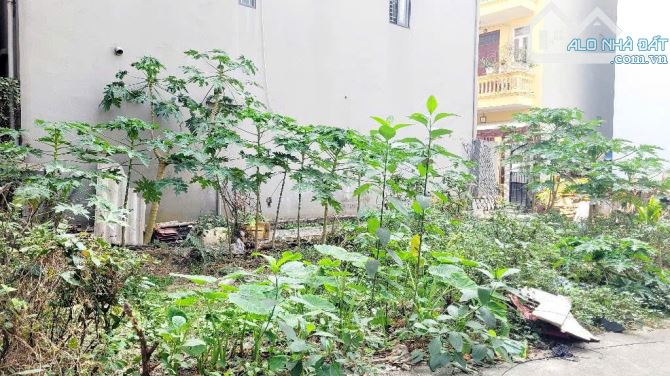 Bán đất lõi Long Biên full thổ cư ngõ oto vào đất 100m2 MT 5m giá 10 tỷ