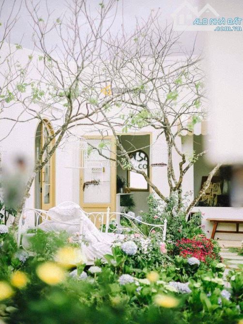2 sào 4 cho lô đất Mặt Tiền Bạch Đằng có sẵn mô hình KD cũ phường 7 Đà Lạt