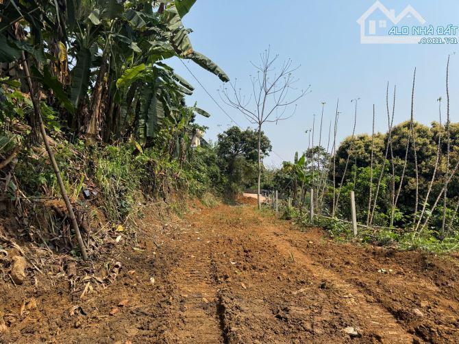2000m Có 400m Đất Ở - View Cánh Đồng - Yên Tĩnh Thích Hợp Nghỉ Dưỡng