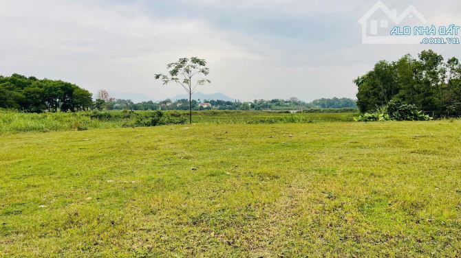 **🔥 CƠ HỘI CÓ 1-0-2! 3.023,7M² (200M² THỔ CƯ) – VIEW TRIỆU ĐÔ, CÓ AO – SỔ SẴN, CHỐT NGAY