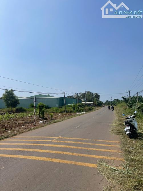Cần bán gấp đất mặt tiền đường Nguyễn Hoàng xã Thanh Bình Trảng Bom - 8