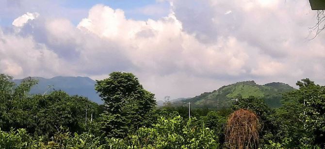 LÔ ĐẤT BIỆT THỰ VƯỜN TUYỆT ĐẸP MẶT TIỀN 56B SUỐI NGHỆ, THỔ CƯ, CÓ HỒ BƠI, VƯỜN CÂY ĂN TRÁI - 9