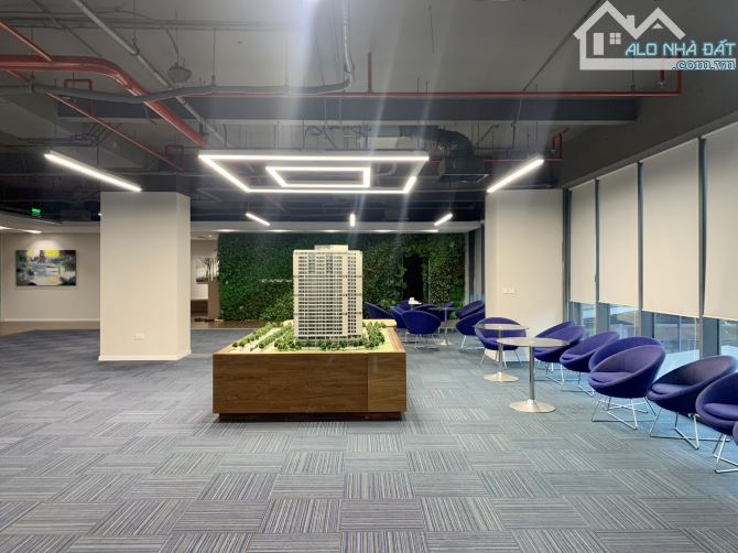 BQL cho thuê văn phòng Hapulico Nguyễn Huy Tưởng, DT 100m2, 200m2, 300m2 giá chỉ từ 240k/m - 1