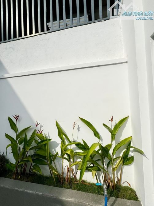 💥Nhà đường Nguyễn Siêu khu Phạm Ngũ Lão - P. Thành Công (6.5 x 25m) - 1