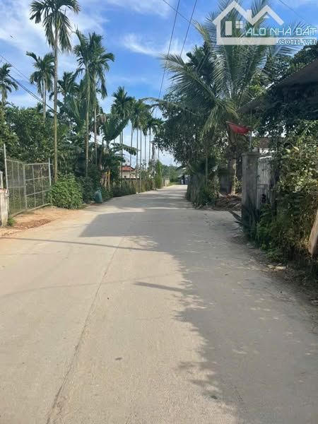 ĐẤT PHONG NIÊN HẠ - TỊNH PHONG GẦN KCN VSIP QUẢNG NGÃI - 1