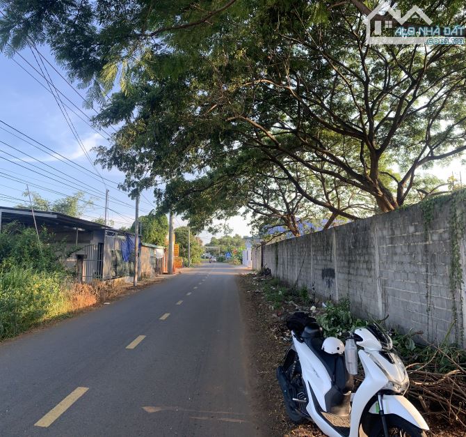 Bán đất khu biệt thự Kim Tơ, Vũng Tàu - 2
