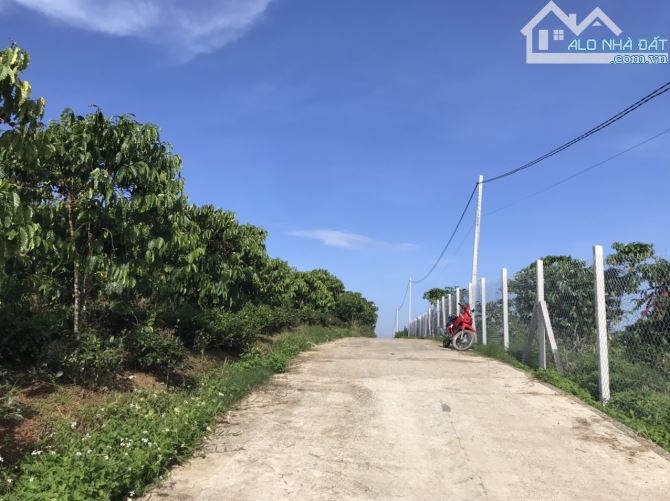 2.1 sào Bảo Lộc 50m mặt đường View đẹp
