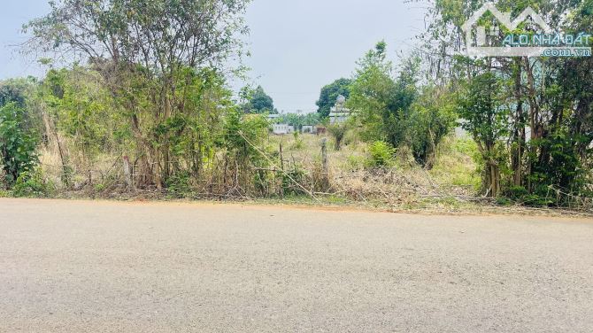 BÁN ĐẤT HOÀ LONG BÀ RỊA VŨNG TÀU - 2