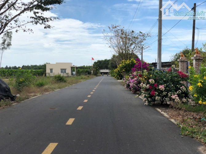 Bán đất đối diện cổng KCN Đất Đỏ chỉ 930tr, 184m2 có 80tc, đường nhựa lớn, cách QL55 1km - 2